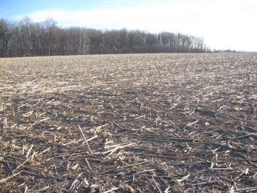 Property photo 13 - 44 Acres Offered in 3 Tracts